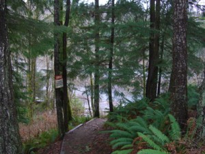 looking down at the Canyon View trail (and the river) from the powerplant parking lot that's just off the highway