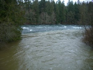 confluence of the Campbell and Quinsam Rivers