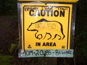 This is the only signage for the Beaver Pond Trail. Note the date of the bear warning (June).